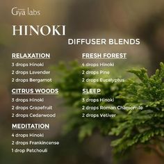 Hinoki Essential Oil, Inner Harmony, Essential Oil Diffuser Recipes, Oil Diffuser Recipes, Essential Oil Mixes, Essential Oil Blends Recipes, Essential Oil Benefits