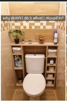 a toilet in a bathroom next to a shelf with plants and other items on it