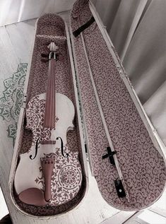 the violin is in its case and ready to be played