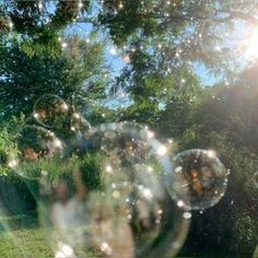 soap bubbles are floating in the air near some trees and bushes on a sunny day