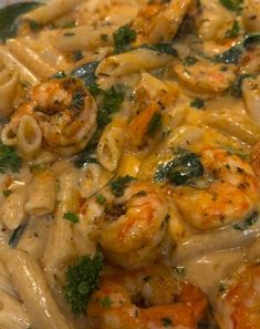 pasta with shrimp, cheese and broccoli in a white sauce