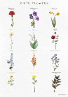 the different types of flowers are shown in this illustration, and each flower has its own name