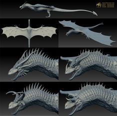 four different views of a dragon's head and body, all in various angles