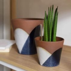 two potted plants sitting on top of a wooden table