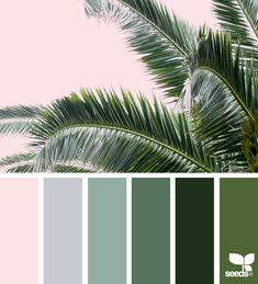 Deco Spa, Botanical Bedroom, Today's Inspiration, Seeds Color, Green Color Schemes, Grey Color Scheme, Nursery Inspo, Design Seeds