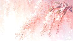 Light Pink Aesthetic Laptop Wallpaper, Pink Pc Background, Light Pink Headers, Backgrounds Drawing, 16:9 Backgrounds, Rosé Header, Anime Banners, Asian Wallpaper, Cute Themes