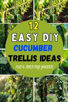 twelve easy diy cucumber trellis ideas for a growing garden or herb garden