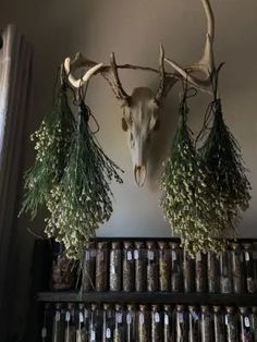 two deer heads mounted to the side of a wall with pine cones and branches hanging from it