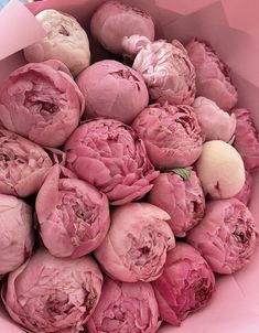 a bunch of pink flowers in a white bowl