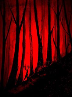 the red light is shining through the trees in the dark forest, and there are no leaves on the ground