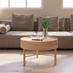 a living room with a couch, coffee table and potted plant in the center