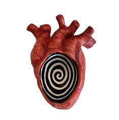 an image of a human heart with a target in the center and spirals on it