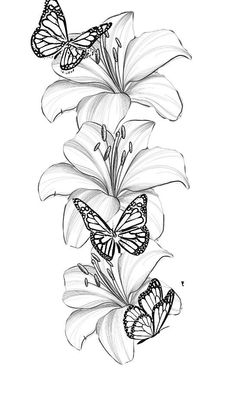 three butterflies flying over lily flowers in black and white ink on paper, with the outline of