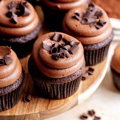 chocolate cupcakes with chocolate frosting and sprinkles on a plate