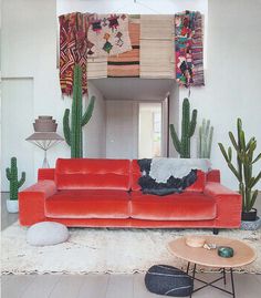 a living room filled with furniture and cactus plants