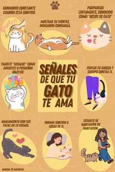 the spanish poster shows different types of cats