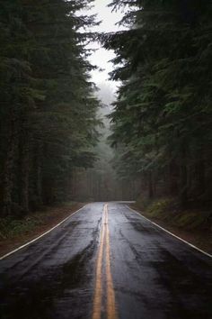 an empty road surrounded by tall trees in the middle of the forest at night time