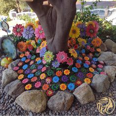 there are many colorful flowers in the rock bed by the tree and rocks on the ground