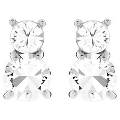 Pure elegance. The rhodium-plated Stilla Double Pierced Earrings sparkle beautifully in clear crystal, adding timeless sophistication to any look. The earrings measure 1 cm in length. Double Pierced Earrings, Double Stud Earrings, Pink Watch, Solitaire Studs, Rose Gold Watches, Earrings Round, Circle Earrings Studs, Sparkle Earrings, Small Earrings Studs