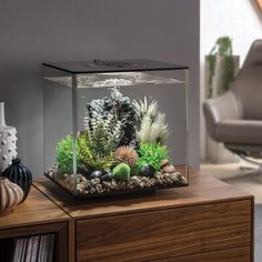 an aquarium is sitting on top of a wooden table next to a chair in a living room