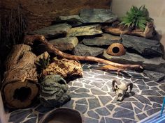 there is a cat that is laying on the floor next to some rocks and logs