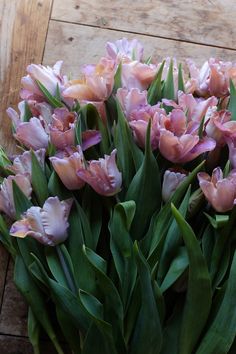 a bunch of pink tulips sitting on top of a wooden floor next to each other