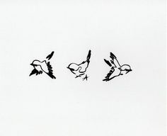 three birds are flying in the sky with one bird on its back and another bird on its side