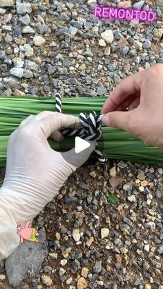 someone in white gloves is tying a ribbon to a green object on the ground with rocks and gravel