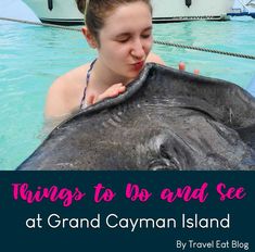 a girl in the water with an elephant and text that reads things to do and see at grand cayman island