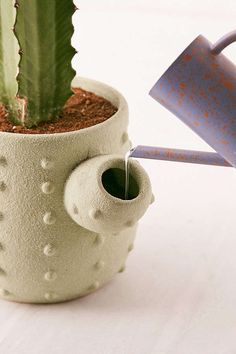 a cactus in a ceramic pot with a watering can next to it and a plant