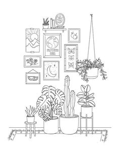 a black and white line drawing of plants in pots on a shelf with pictures above them