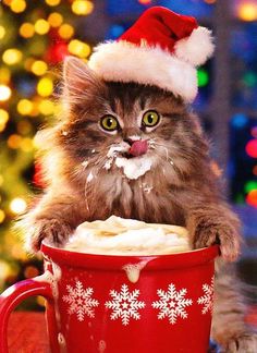 a cat wearing a santa hat sitting in a red mug with snow flakes on it