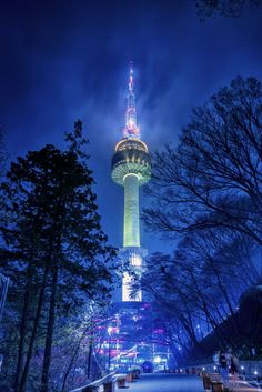 the sky tower is lit up at night