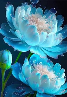 blue flowers with water droplets on them are shown in this artistic photograph, and the petals appear to be floating