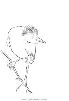 a black and white drawing of a bird sitting on a branch with its beak open