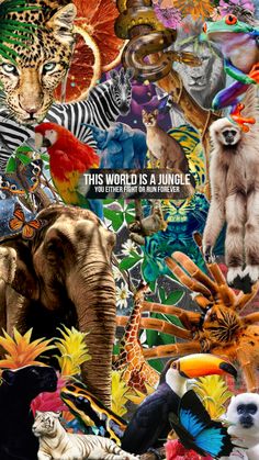 this is a collage of different animals and birds with the words, this world is a jungle