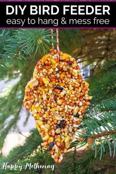 a bird feeder hanging from a pine tree with text overlay that reads, peanut butter free diy bird feeders