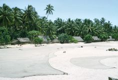 a sandy beach with palm trees and huts in the background