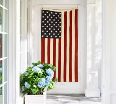 an american flag hanging on the wall next to a potted plant with hydrangeas