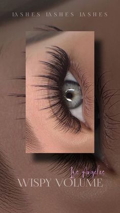 Eye Story Instagram, Types Of Eyelash Extensions, Cat Eye Lash, Lash Salon