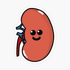 a red kidney sticker with a smiley face on it's side, in front of a white background