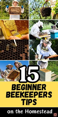 beekeepers and honeycombs with the title 15 beginner beekeepers tips on the