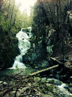 a small waterfall surrounded by trees and rocks