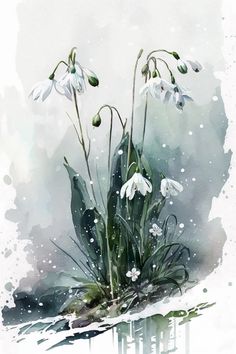 watercolor painting of snowdrops and grass