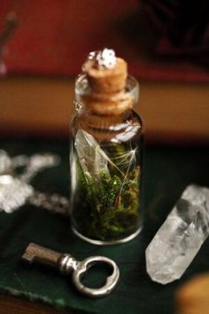 a bottle filled with moss sitting on top of a table next to crystal stones and a key