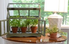 a table with potted plants on it in front of a window