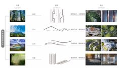 a diagram showing the various types of trees and plants in different areas of the image