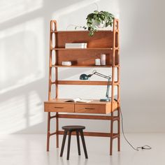 a wooden desk with a plant on top