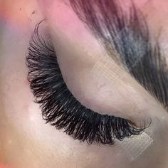 𝓛𝓾𝓬𝔂’𝓼 𝓛𝓪𝓼𝓱 𝓛𝓸𝓾𝓷𝓰𝓮 on Instagram: “Throwback to this set! The best view���😍using @emia_uk 0.03 lashes in a doll eye style🔥Hopefully not long now until I can lash you all again✨…” Best View, Doll Eyes, Nice View