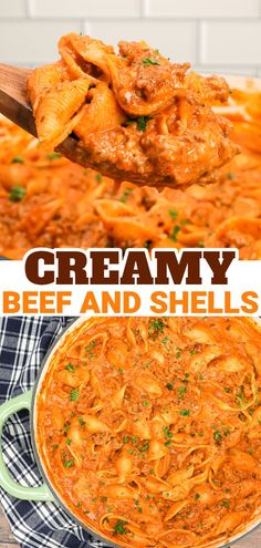 creamy beef and shells in a red sauce